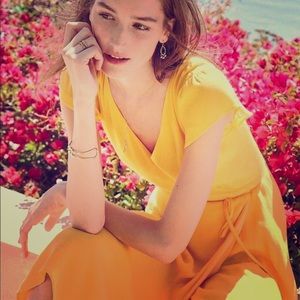 Ann Taylor Marigold Dress